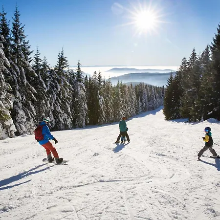 Sope Skylodge 05 - Lorena's Bollenhut - Oberried, Schauinsland
